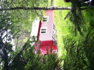 Sommarfest på Steindalsetra