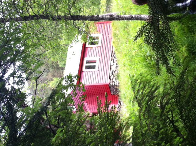 Sommarfest på Steindalsetra