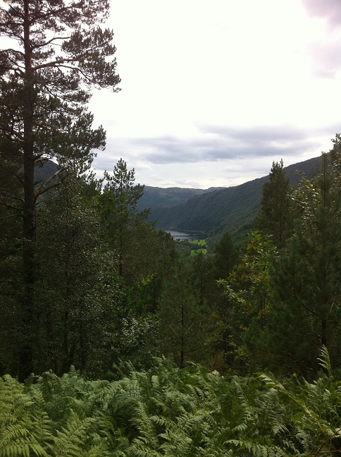 Samling i Søymyro sommaren 2014