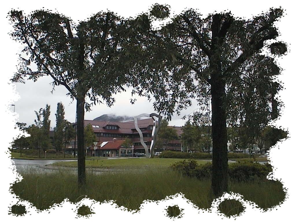 Os Frivilligsentral 10 år!